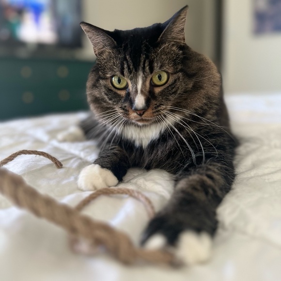 Meet your Posher, Mandi - Picture 9 of 11